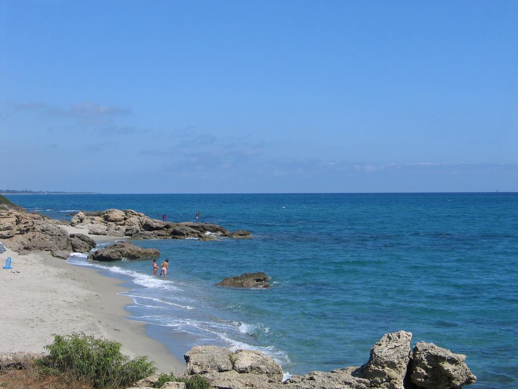 Le Clos Des Arbousiers Linguizzetta المظهر الخارجي الصورة