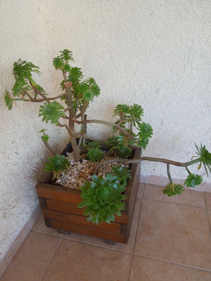 Le Clos Des Arbousiers Linguizzetta المظهر الخارجي الصورة